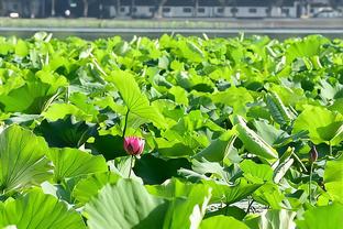 森保一：新年的第一个梦是日本队世界杯夺冠，要努力将它化为现实