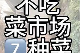 未来可期？曼联U18提前赢下U18联赛北区冠军，目前22场19胜2平1负